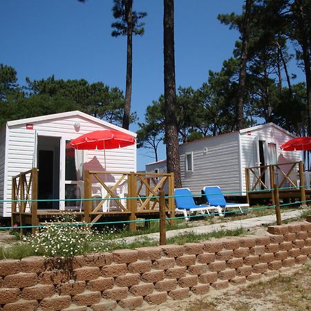 Orbitur Caminha Bungalows - Caravan Park Extérieur photo