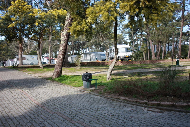 Orbitur Caminha Bungalows - Caravan Park Extérieur photo