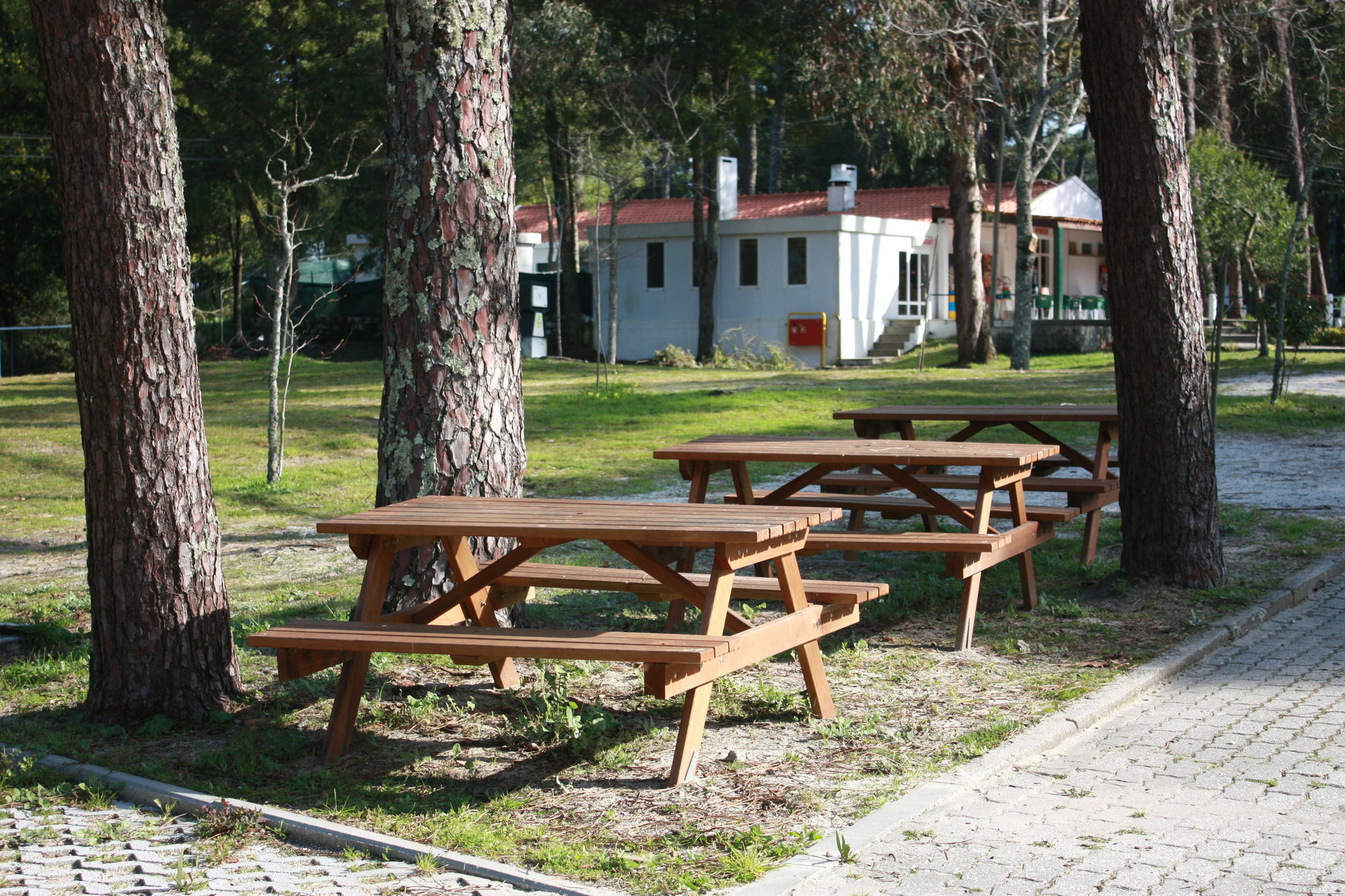 Orbitur Caminha Bungalows - Caravan Park Extérieur photo