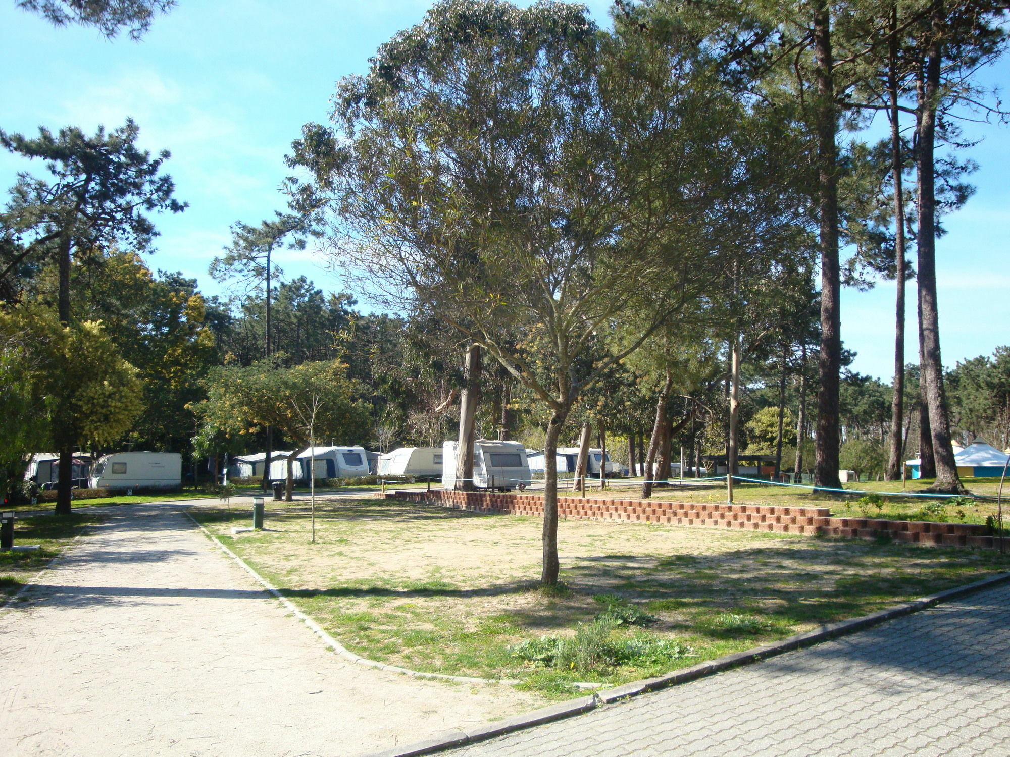 Orbitur Caminha Bungalows - Caravan Park Extérieur photo