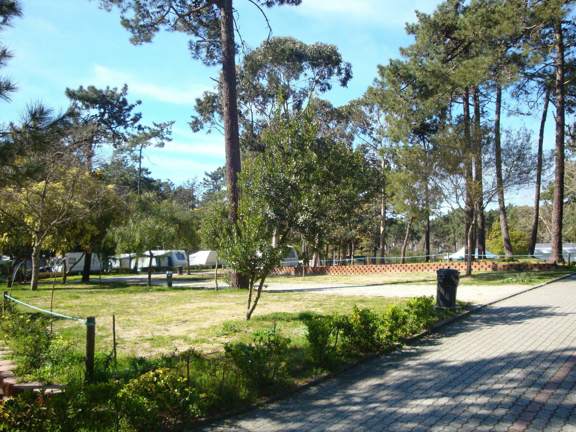 Orbitur Caminha Bungalows - Caravan Park Extérieur photo